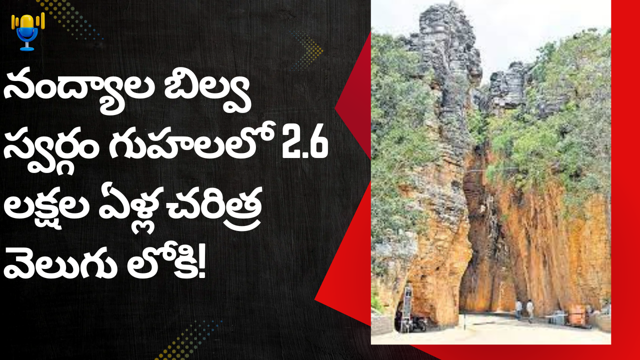 నంద్యాల బిల్వ స్వర్గం గుహలలో 2.6 లక్షల ఏళ్ల చరిత్ర వెలుగు లోకి! నంద్యాల బిల్వ స్వర్గం గుహలలో 2.6 లక్షల ఏళ్ల చరిత్ర వెలుగు లోకి!