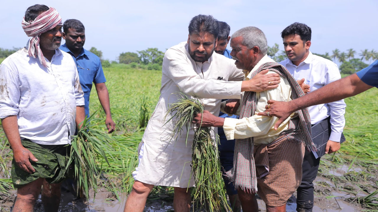 పవన్ కల్యాణ్ భరోసా: నష్టపోయిన రైతులకు పూర్తి సాయం. పవన్ కల్యాణ్ భరోసా: నష్టపోయిన రైతులకు పూర్తి సాయం.