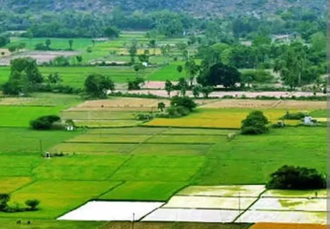 22ఏ భూముల చిక్కుముడి వీడేనా? కొత్త మార్గదర్శకాలకు తెలంగాణ కసరత్తు 22ఏ భూముల చిక్కుముడి వీడేనా? కొత్త మార్గదర్శకాలకు తెలంగాణ కసరత్తు