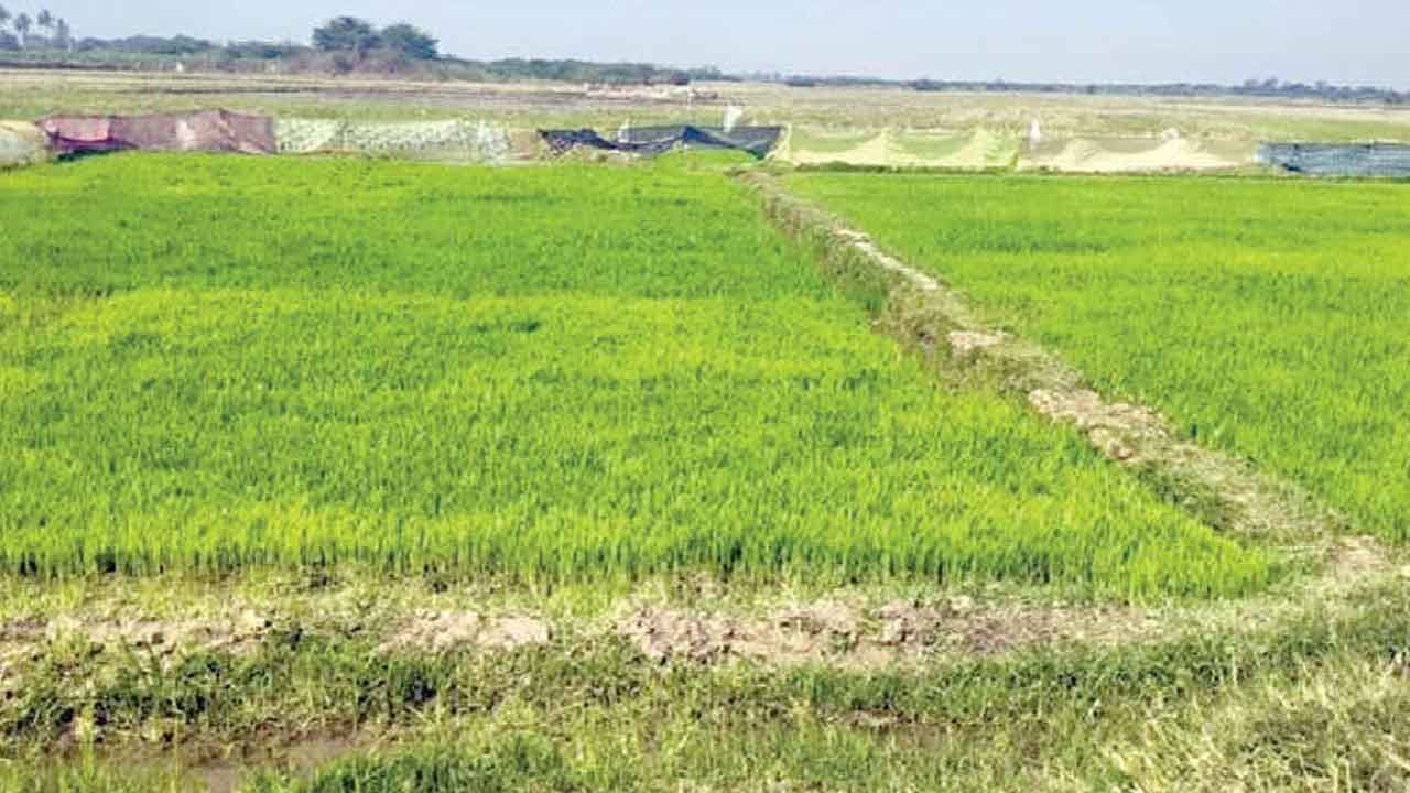 22ఏ భూముల సమస్యకు హైలెవల్ కమిటీ.. చైర్మన్‌గా లోకేశ్ కుమార్